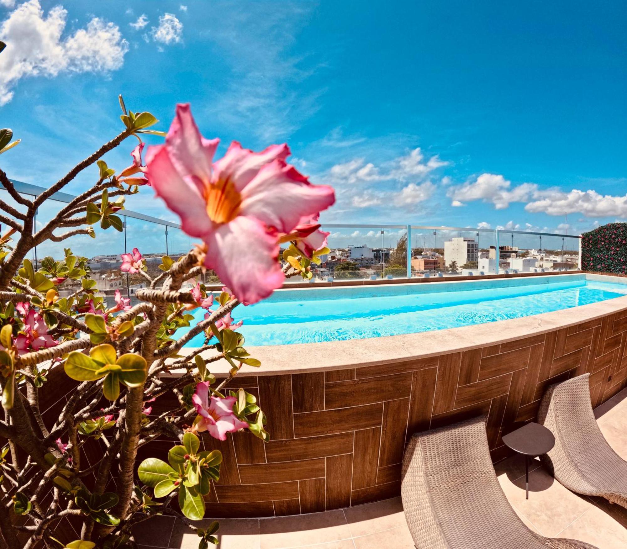 Studios With Roofpool In Vanessa 24 Playa del Carmen Exterior foto
